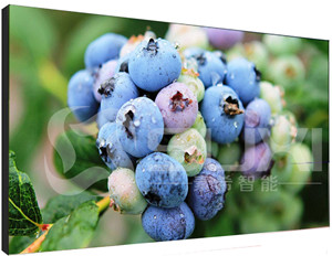 液晶拼接屏出現(xiàn)色差應(yīng)該如何維修？